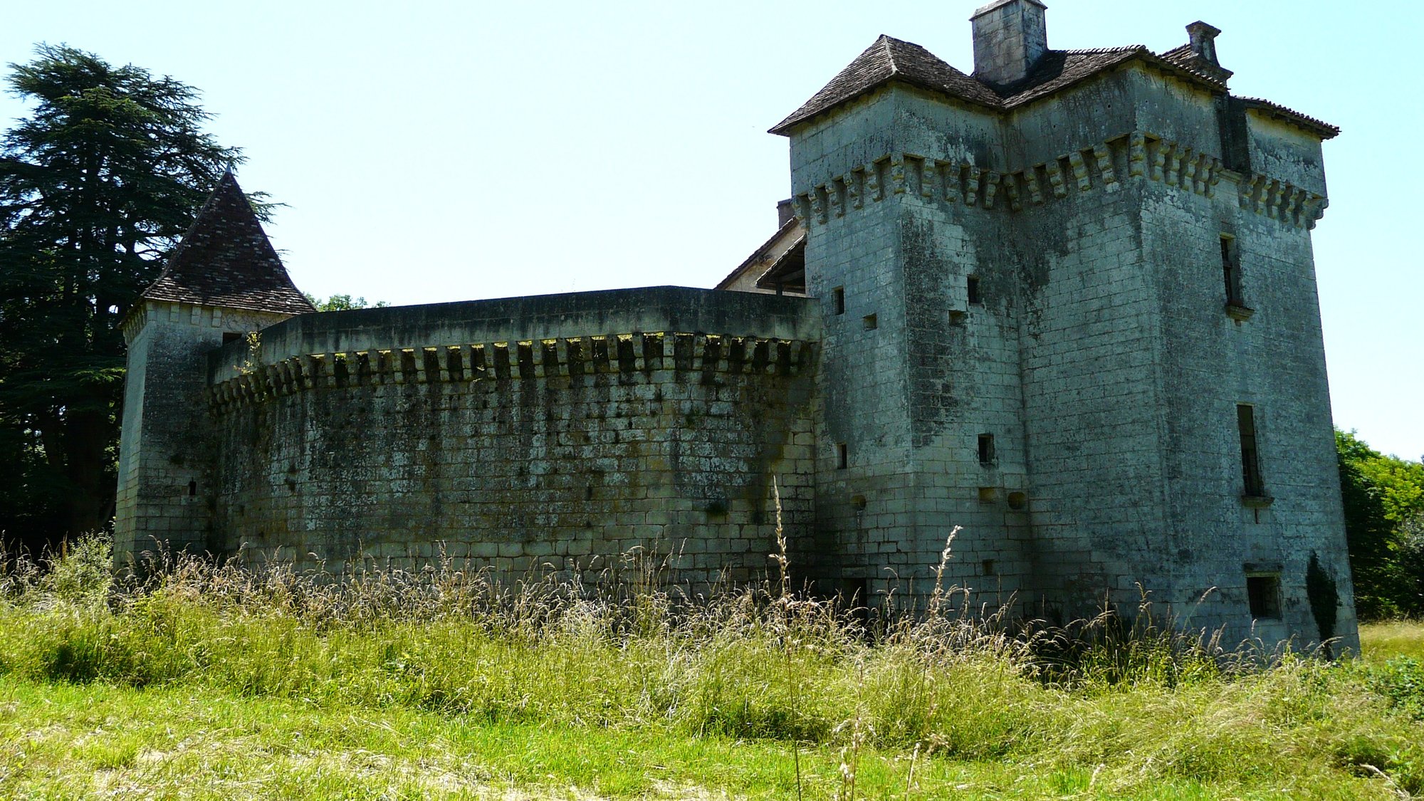 La courtine et la tour portière au milieu des herbes hautes