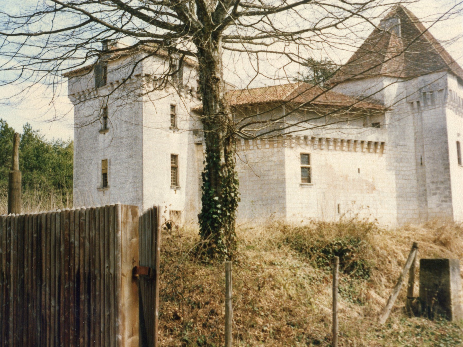 Le château en 1985, envahi par la végétation
