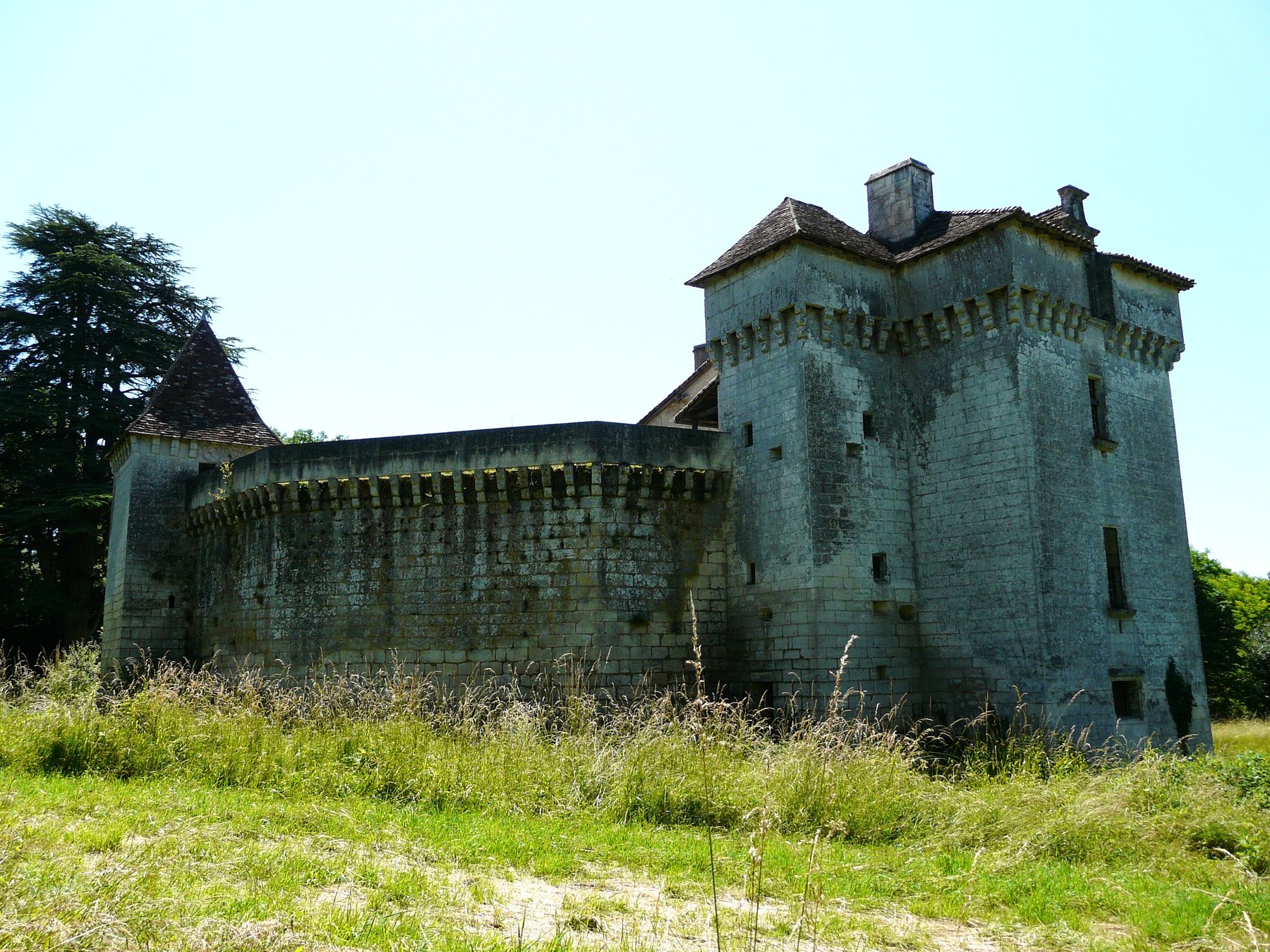 La courtine et la tour portière en 2008