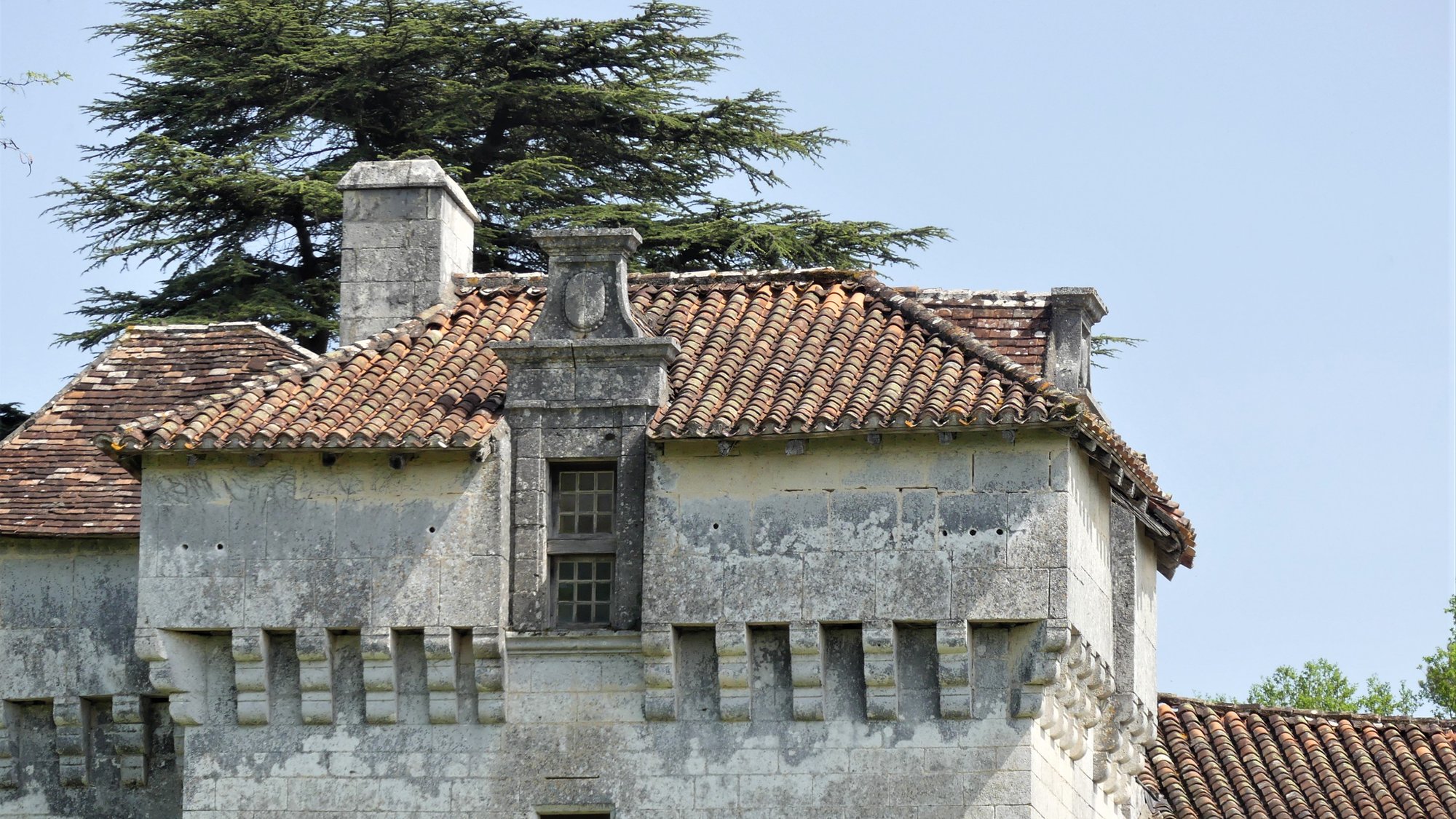 Les corbeaux et la couverture de la tour ouest